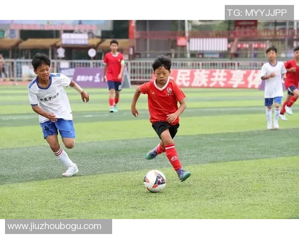 追逐绿茵梦想从少年到巨星的奋斗与荣耀自传