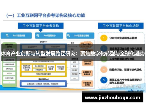 体育产业创新与转型发展路径研究：聚焦数字化转型与全球化趋势